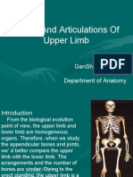 3rd-Bones and Articulartions of The Upper Limb (New File)