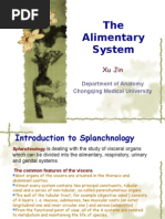 7th-The Alimentary System