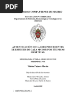 PDF Documento