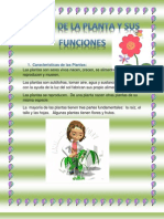 Partes de Las Plantas y Sus Funciones