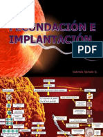 Fecundacion e Implantacion