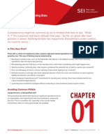 Opp Risks Chapter1