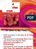 Strawberry DNA Extraction