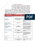 Estructura Bacteriana