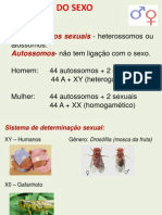 Herança Do Sexo - 2003