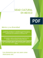 Diversidad Cultural en Mexico