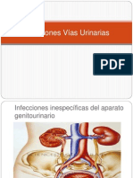 Infecciones Vias Urinarias