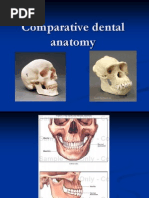 Comparative Dental Anatomy