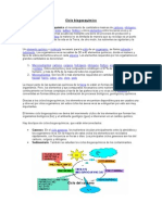 Ciclos Biogeoquimicos