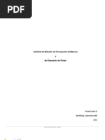 1 3 NP Analisis de Estudio de Percepcion de Marcas