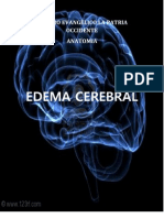 Edema Cerebral