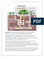 Denitrification: Denitrification Is A Microbially Facilitated Process of Nitrate Reduction That May Ultimately Produce