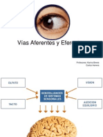 Vias Aferentes y Eferentes