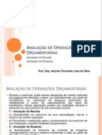 Anulação de Operações Orçamentárias e Bens Patrimoniais - Aula 11