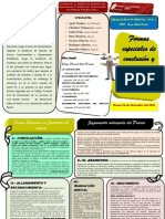 Formas Especiales de Conclusión y Juzgamiento Anticipado Del Proceso-TRÍPTICO-ULADECH PIURA-EDUARDO AYALA TANDAZO