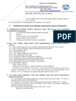 2 El Poder de La Representatividad de Las Familias