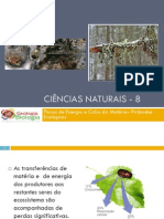 Powerpoint Nr. 3 - Pirâmides Ecológicas