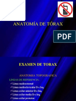 Anatomia de Torax