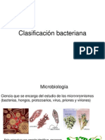 Clasificación Bacteriana