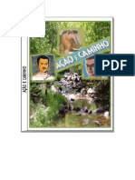 Emmanuel Andre Luiz - AÇÃO E CAMINHO PDF