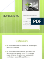 Silvi Cultura