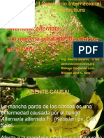 789presencia Hongo Alternaria Peru