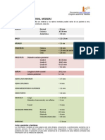 Ecografia Abdominal. Medidas