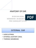 Anatomy of Ear