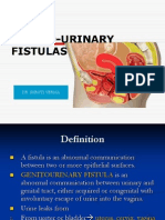 Genitourinary Fistulas