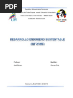 Informe Desarrollo Endogeno Sustentable