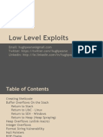 Low Level Exploits