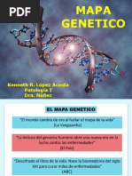 Mapa Genetico 2