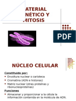 Material Genetico y Mitosis