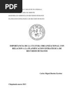 Ensayo Importancia de La Cultura Organizacional Con Relacion A La PERH