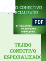 Tejido Conjuntivo Especializado