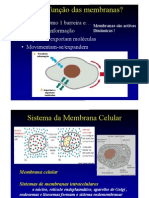 Estrutura Da Membrana Celular