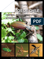 Insectos Chile 2012