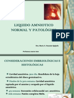 Liquido Amniotico Normal y Patologico