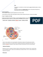 Como Funciona A Mitocôndria