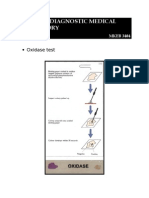 Oxidase Test