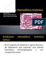 Síndrome Hemolítico Urémico (SHU)