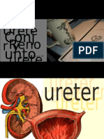 URETERR