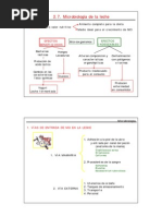 Microbiologia de La Leche