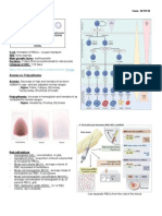 Hematologic Pathology p36-47