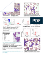 Hematologic Pathology p65-87