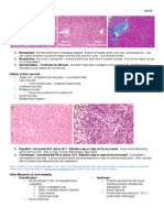 Liver Pathology