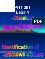 Sreaking Lab 4