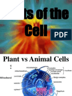 Cell Parts-School Metaphor