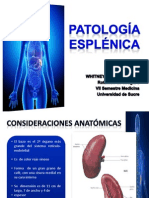 Patología Esplénica