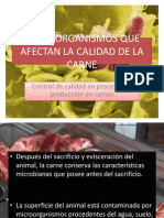 Microorganismos Que Afectan La Calidad de La Carne